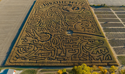 Aerial image of a large corn maze at Exploration Acres - Discovery Park District - Purdue Research Foundation