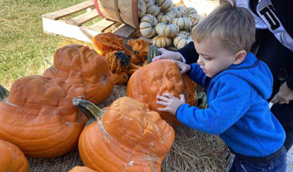 A boy touches a pumpkin shaped as a face