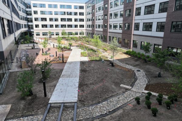 Courtyard in progress